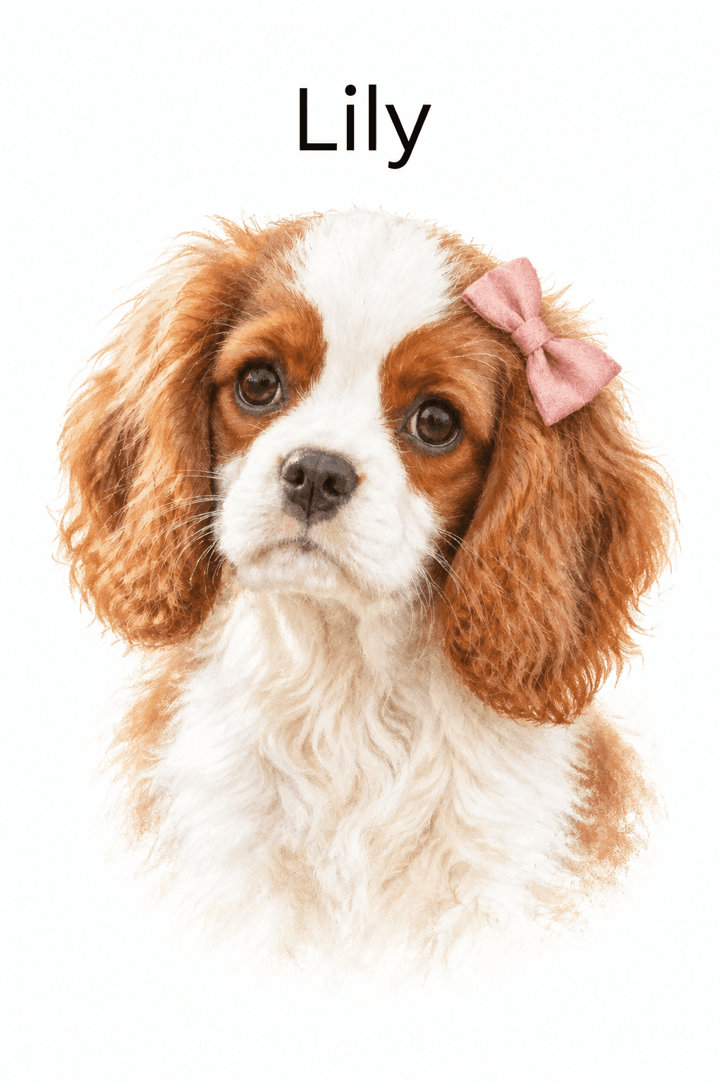 lily-photo
